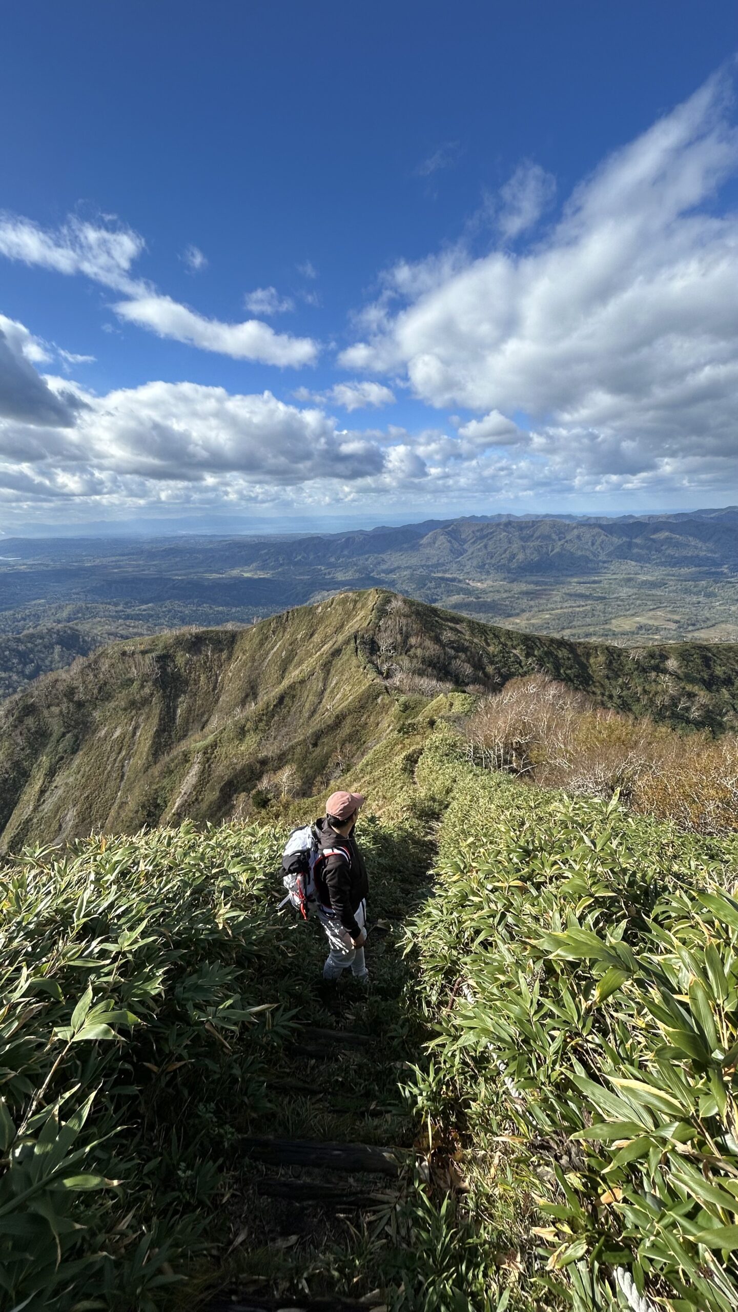 人生初の山頂で見た景色 ― 神居尻山登山が教えてくれた、ビジネスと人生の歩み方
