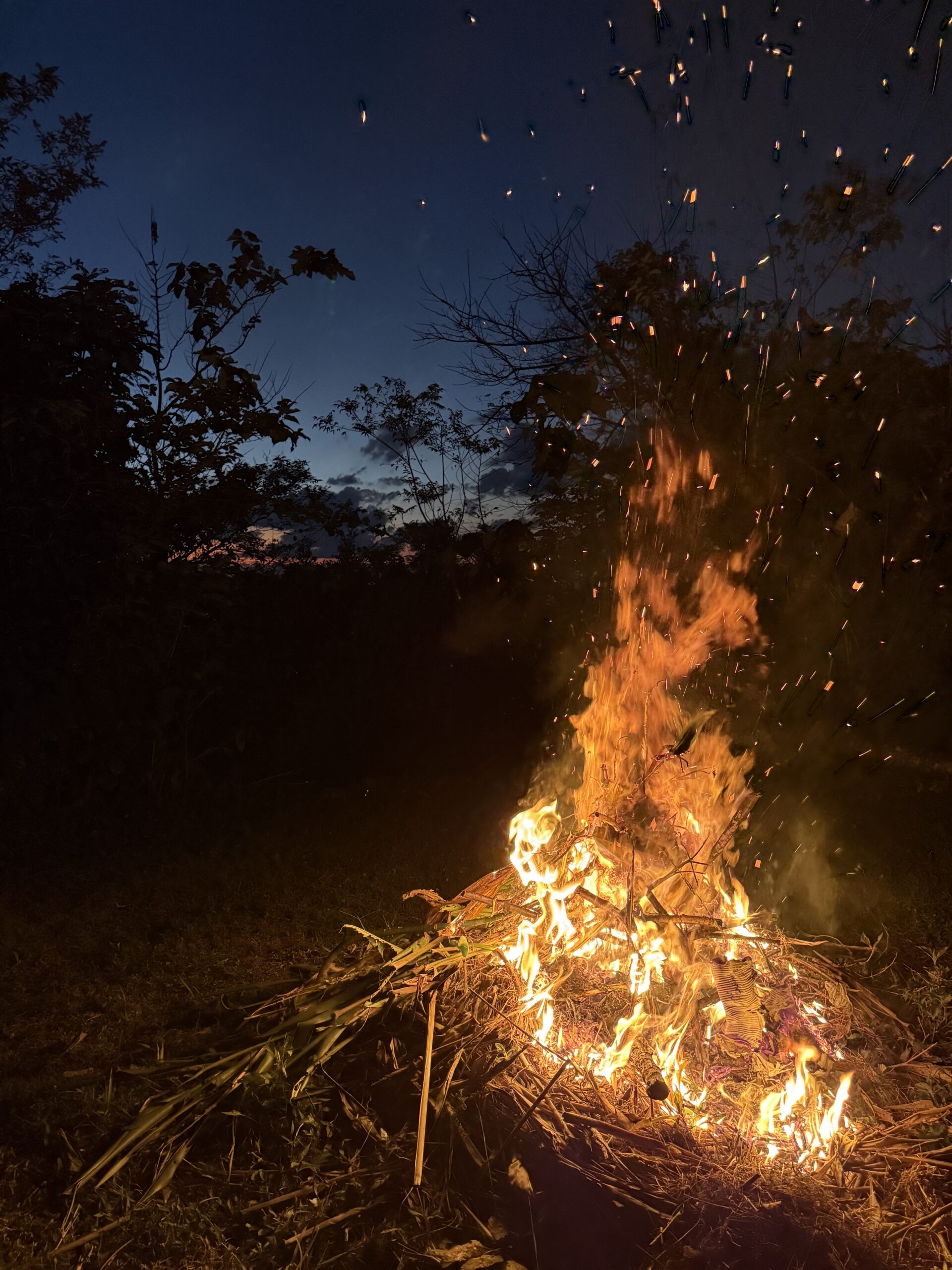 動いて、燃やして、チャージ完了！体が悲鳴をあげた週末にやったこと