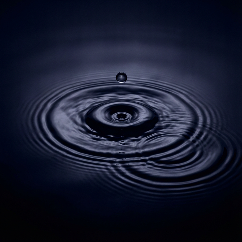 その不協和音は、誰のせいか？「排除」ではなく「調律」というマネジメント