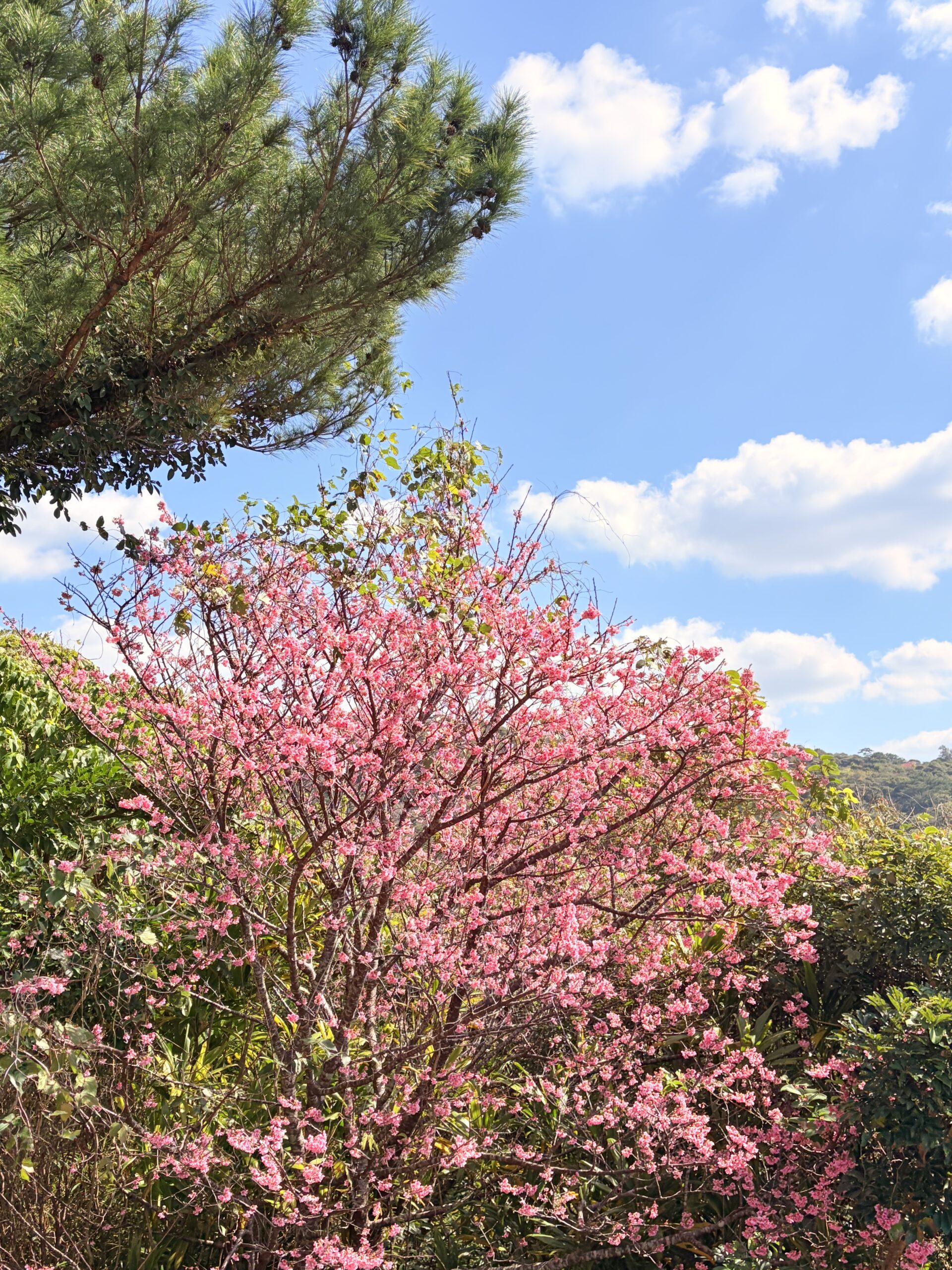 【経営の深呼吸】一筋の煙と、組織を燃やす「隙間」の知恵 —— 『焚き火大全』に学ぶリーダーの休息