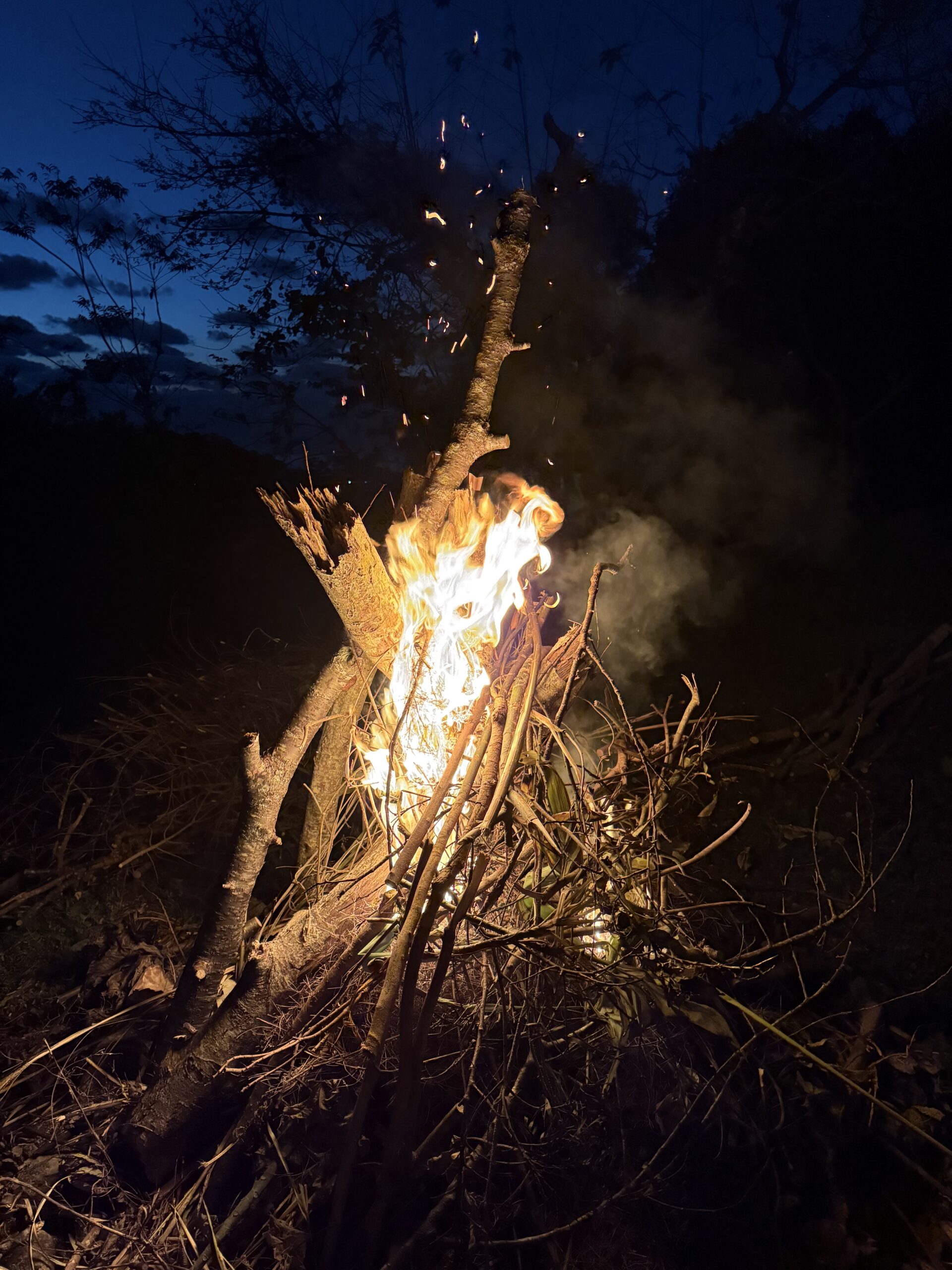 「ただ火を眺める時間」が、組織を救うかもしれない理由。