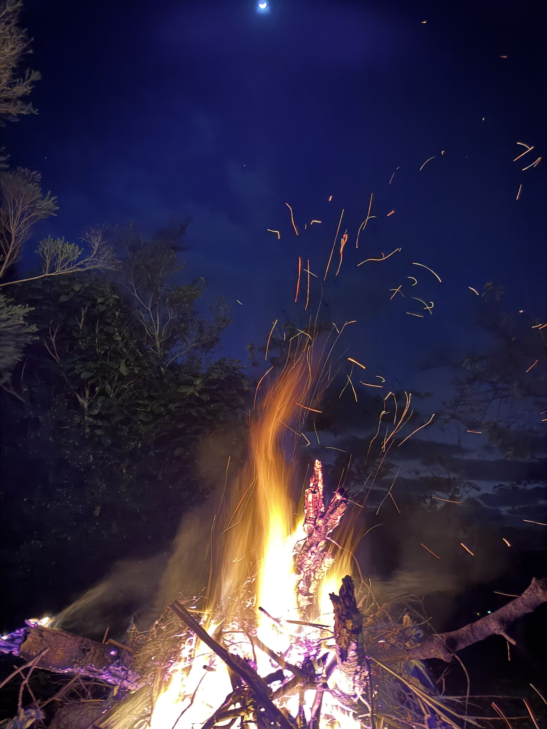 1万年続いた平和な時代に学ぶ、組織が「長く続く」ための智慧。