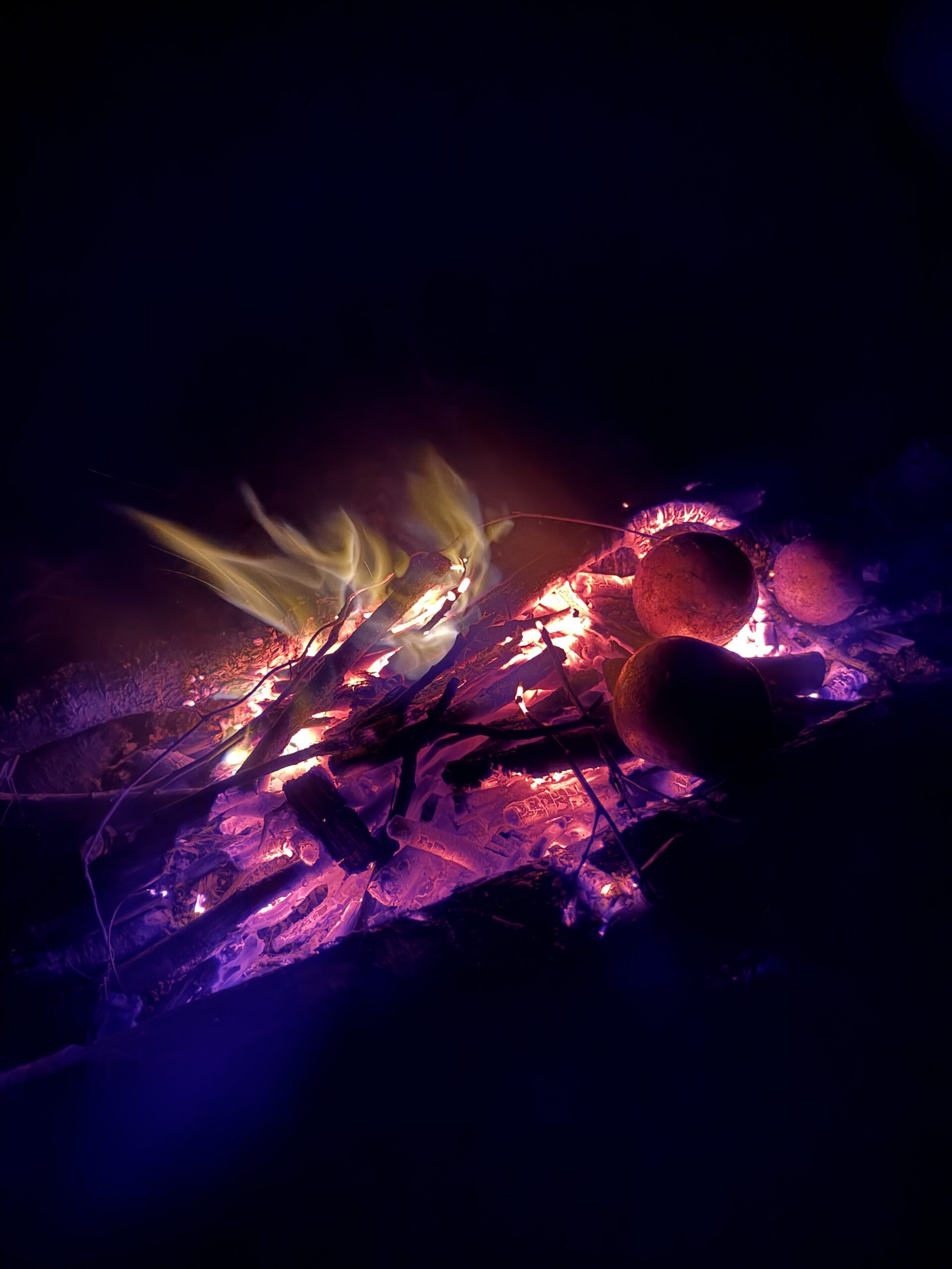 焚き火に学ぶ「組織の熱量」——炎を超えた先にある、熾火の強さ